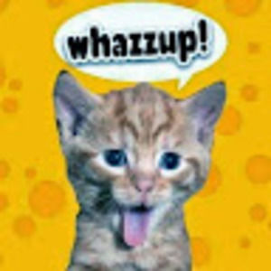 Meet your Posher, Stephen